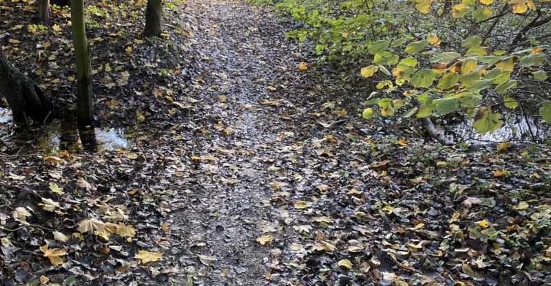 Path of dry mud, with water to either side